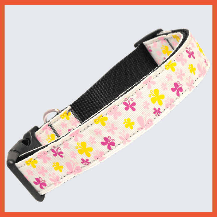 USA Made Nylon Dog Collar - Bright Butterflies in Assorted Colors