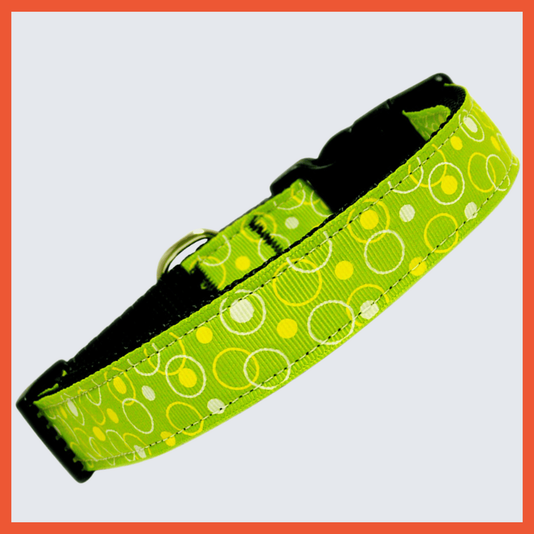 USA Made Nylon Dog Collar - Groovy Retro in Assorted Colors