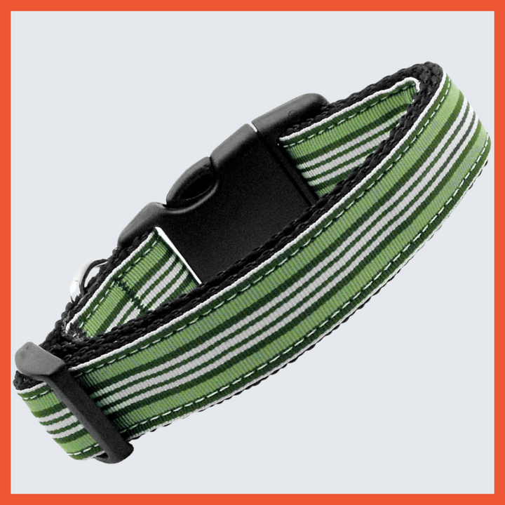 USA Made Nylon Dog Collar - Preppy Stripes in Assorted Colors