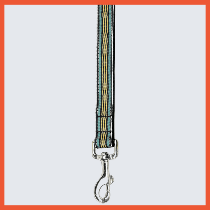 USA Made Nylon Pet Leash - Preppy Stripes in Assorted Colors