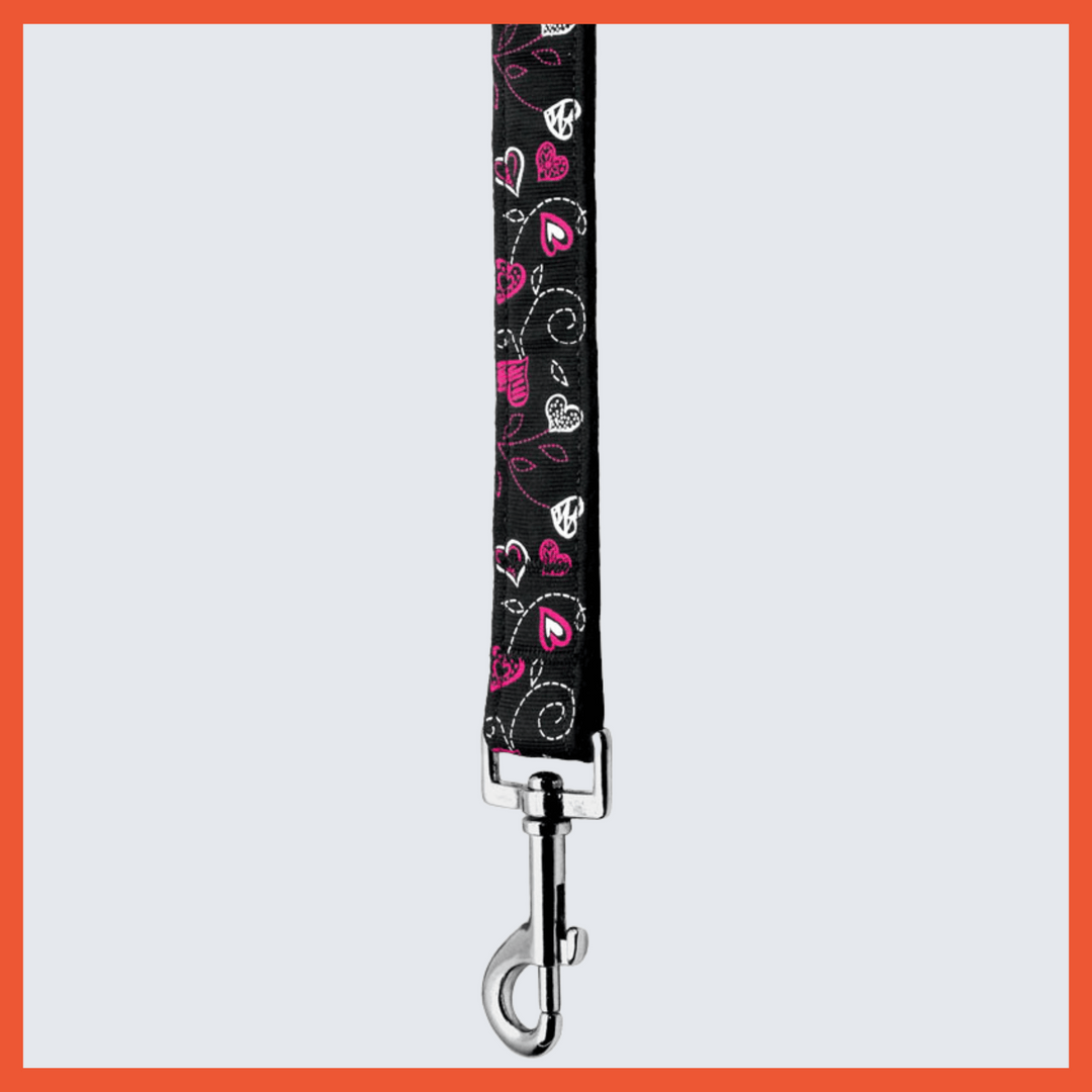 USA Made Nylon Pet Leash - Crazy Hearts in Assorted Colors