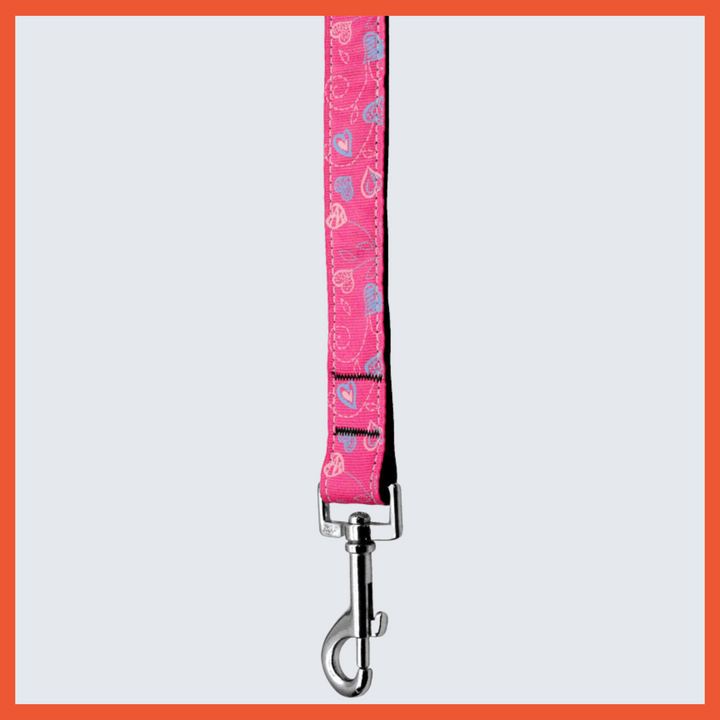 USA Made Nylon Pet Leash - Crazy Hearts in Assorted Colors