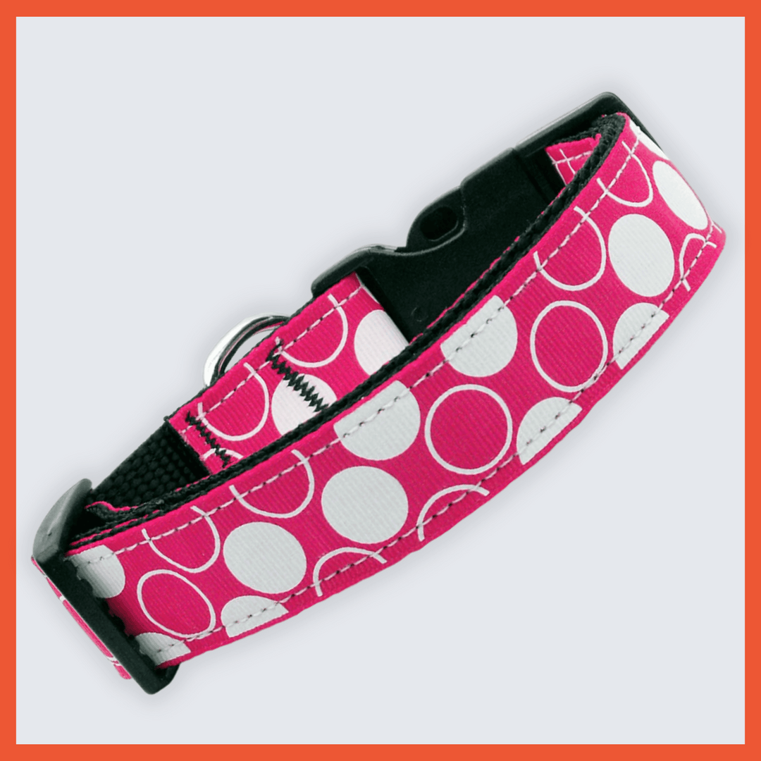 USA Made Nylon Dog Collar - Modern Dots in Assorted Colors