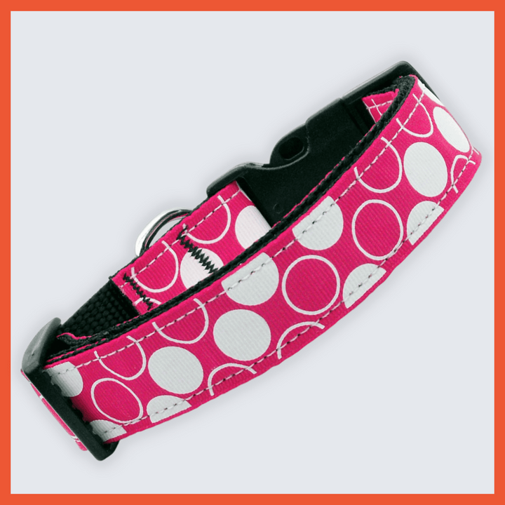 USA Made Nylon Dog Collar - Modern Dots in Assorted Colors