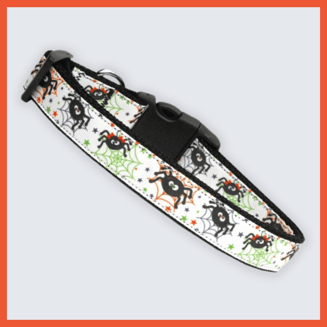 USA Made Nylon Dog Collar - Spooky Fun Collection