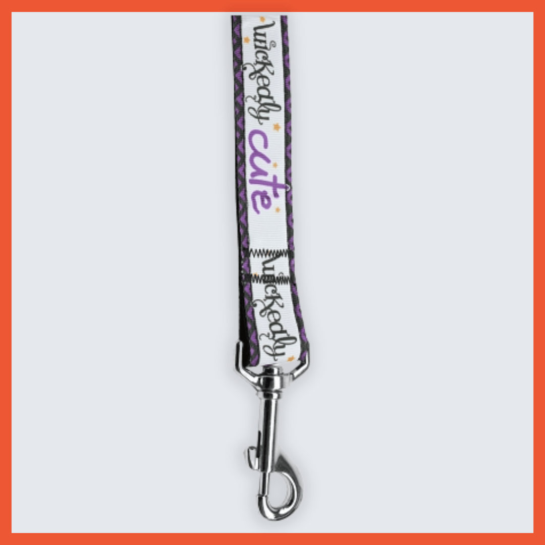 USA Made Nylon Pet Leash - Spooky Fun Collection