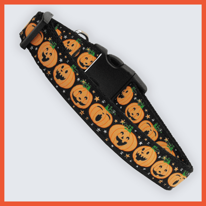 USA Made Nylon Dog Collar - Pumpkin Party Collection