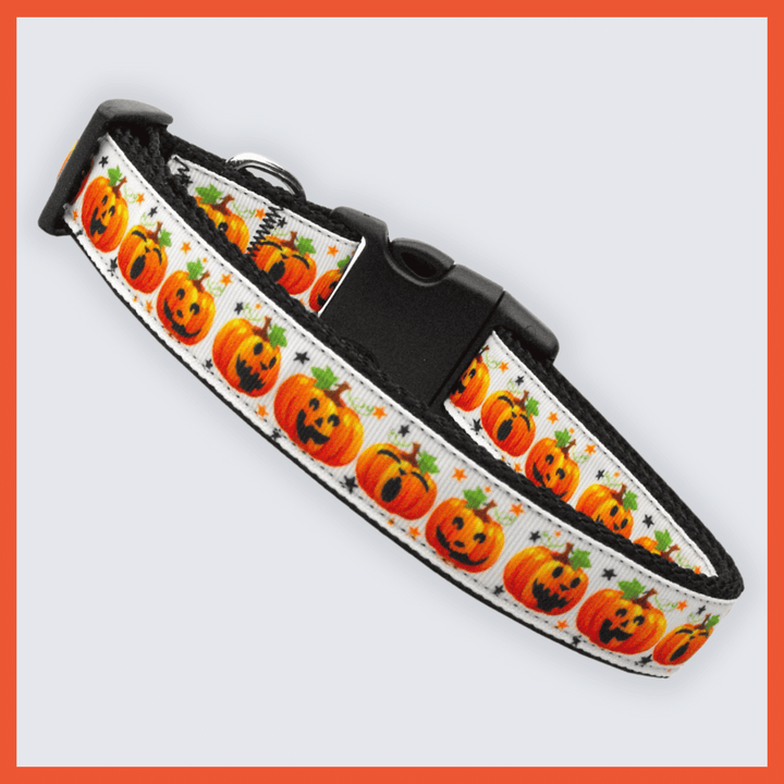 USA Made Nylon Dog Collar - Pumpkin Party Collection