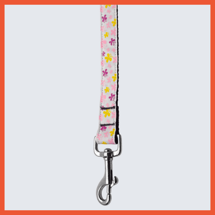 USA Made Nylon Pet Leash - Bright Butterflies in Assorted Colors