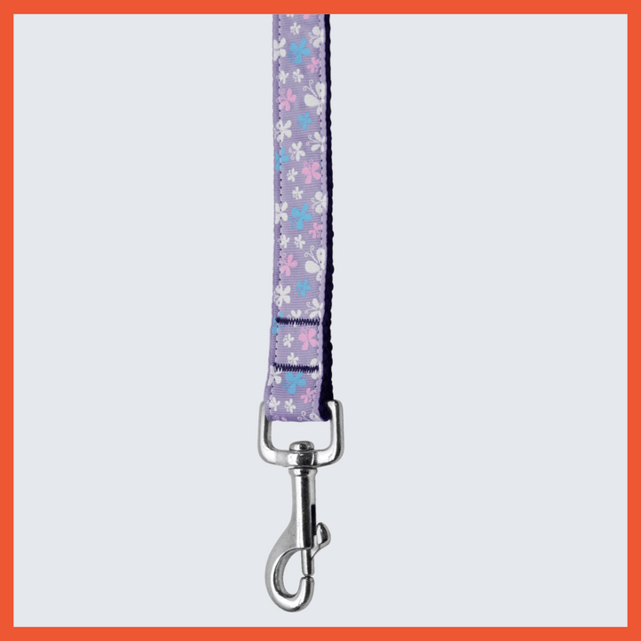 USA Made Nylon Pet Leash - Bright Butterflies in Assorted Colors