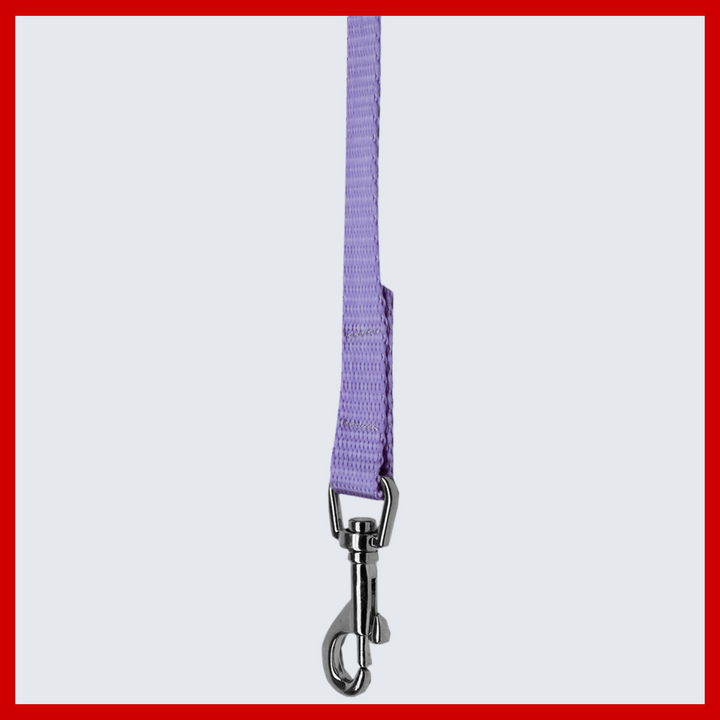 USA Made Classic Nylon Pet Leash in Assorted Colors