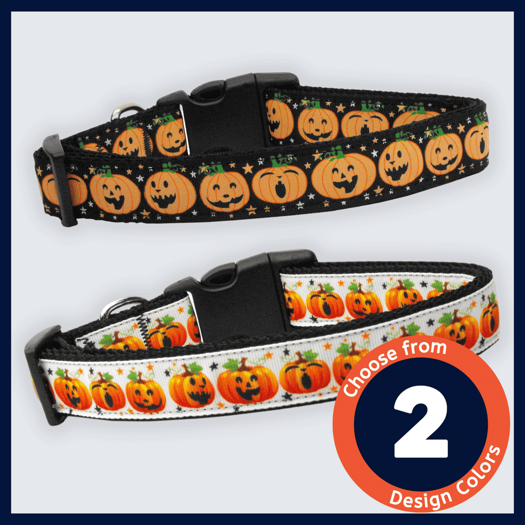 USA Made Nylon Dog Collar - Pumpkin Party Collection