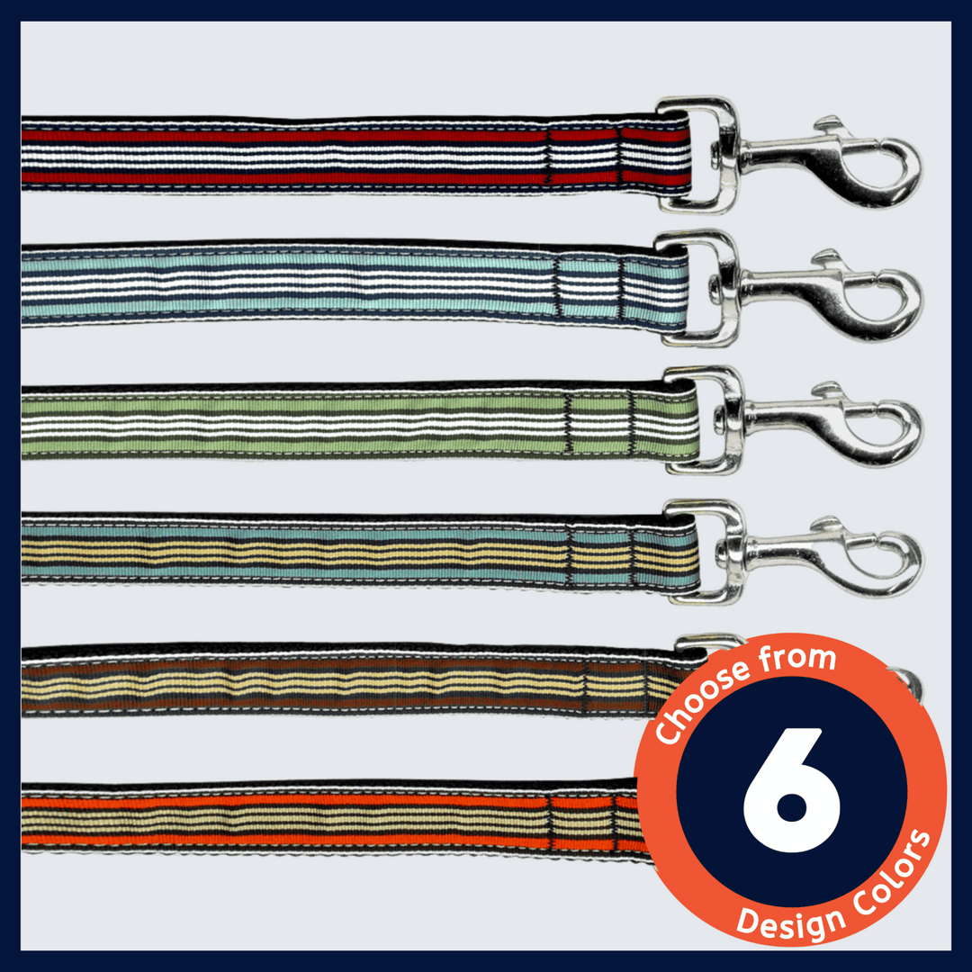 USA Made Nylon Pet Leash - Preppy Stripes in Assorted Colors