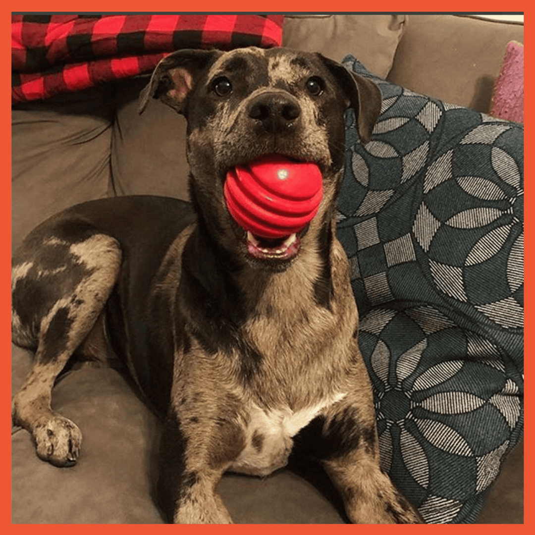 Ball Ultra Durable Rubber Toy
