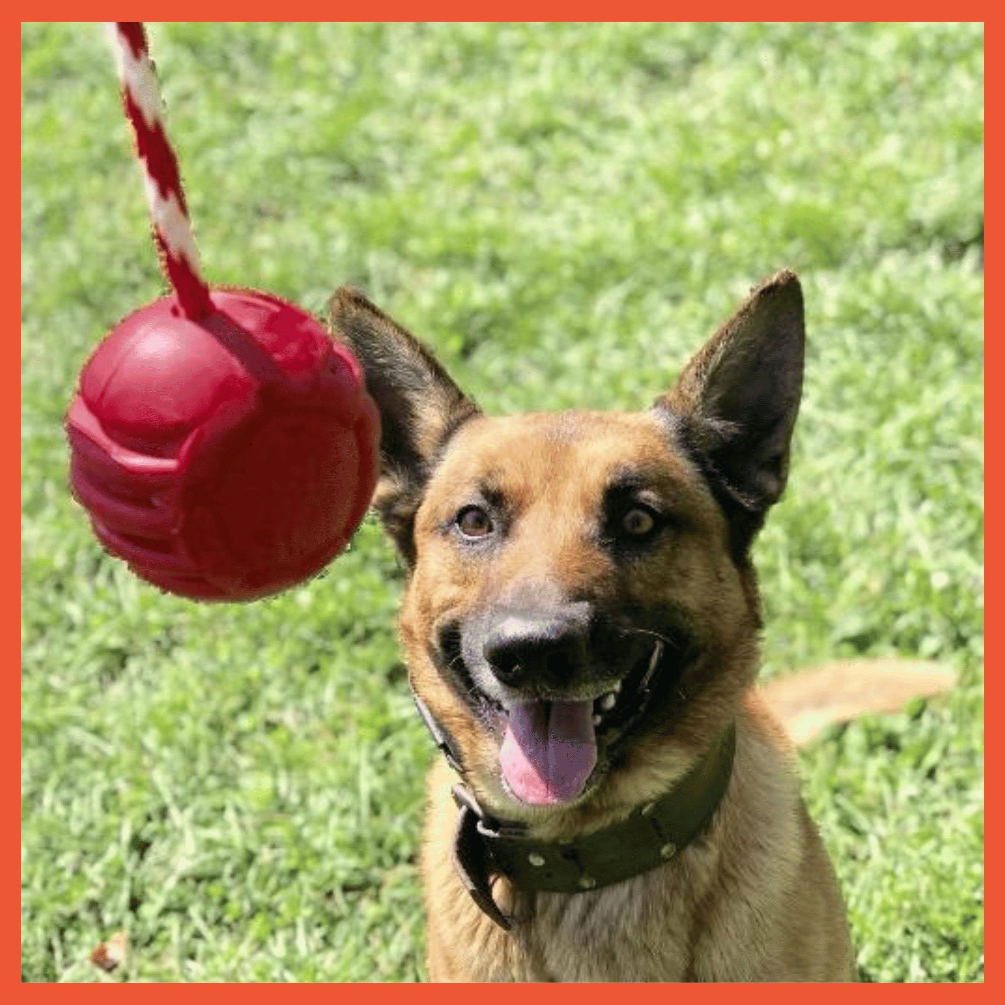 USA-K9 Ultra Durable Ball Toy With Rope