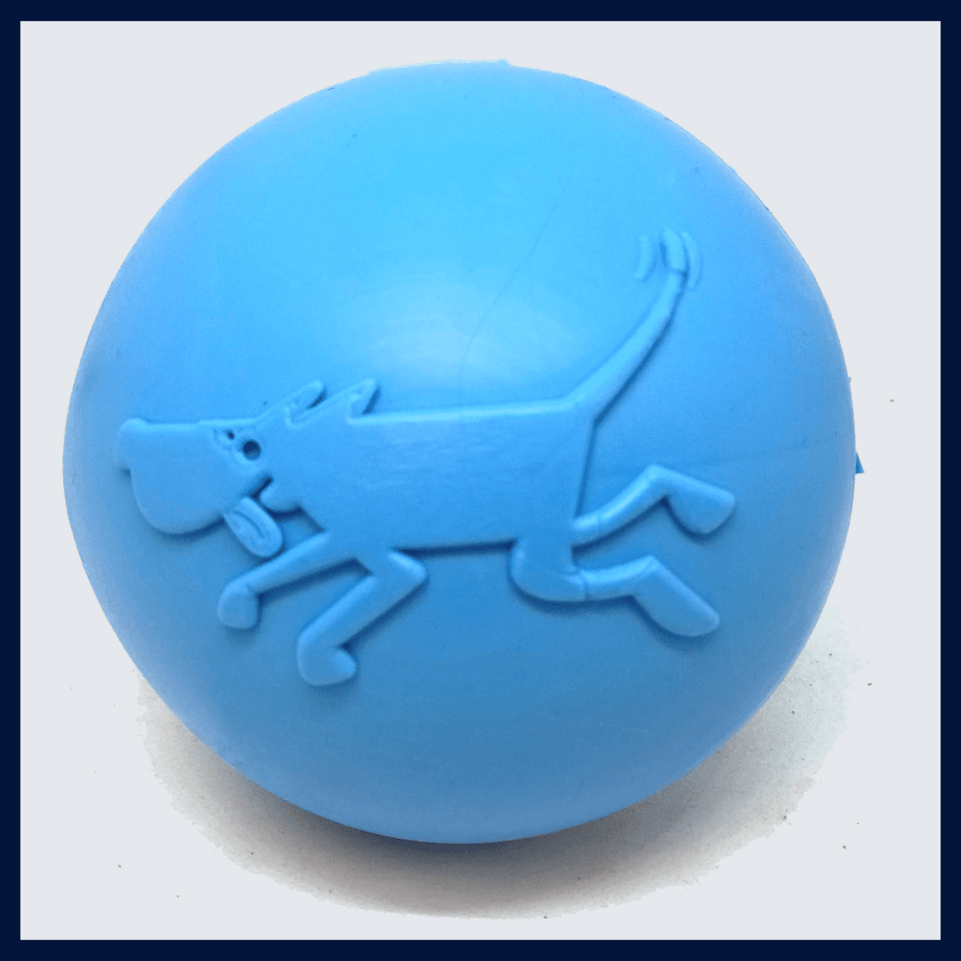Wag Ball Ultra Durable Floating Dog Toy