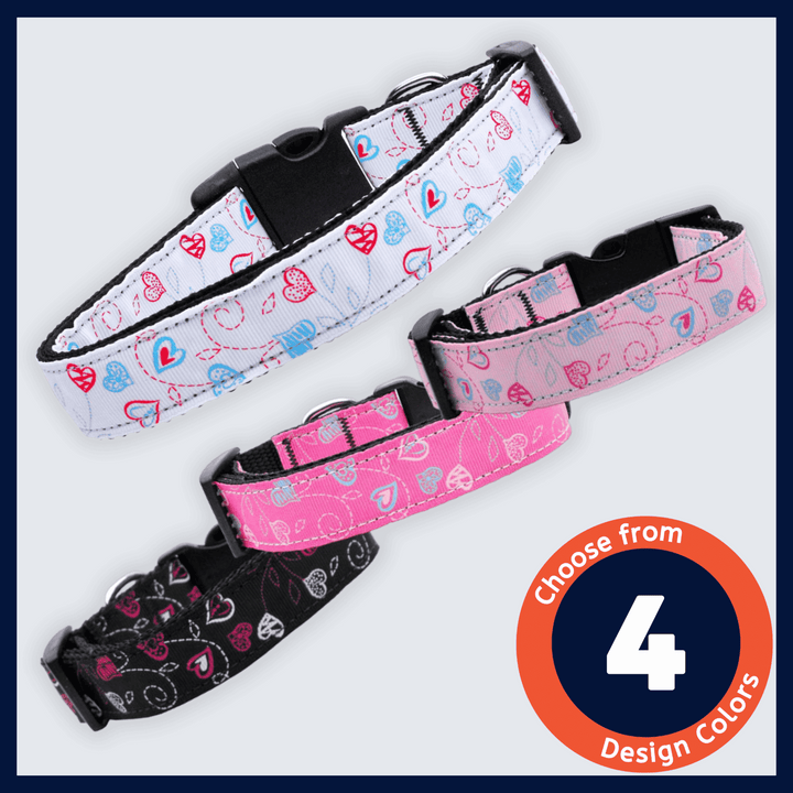 USA Made Nylon Dog Collar - Crazy Hearts in Assorted Colors