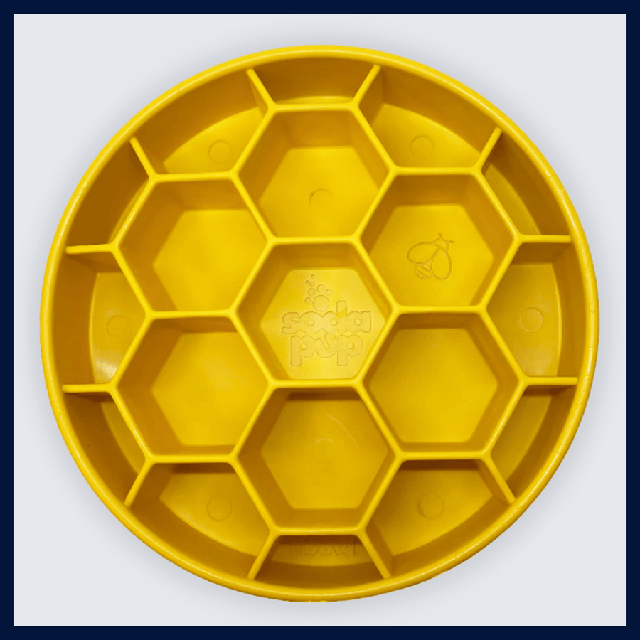 Honeycomb Enrichment Slow Feeder Bowl – Raw Feeding Miami