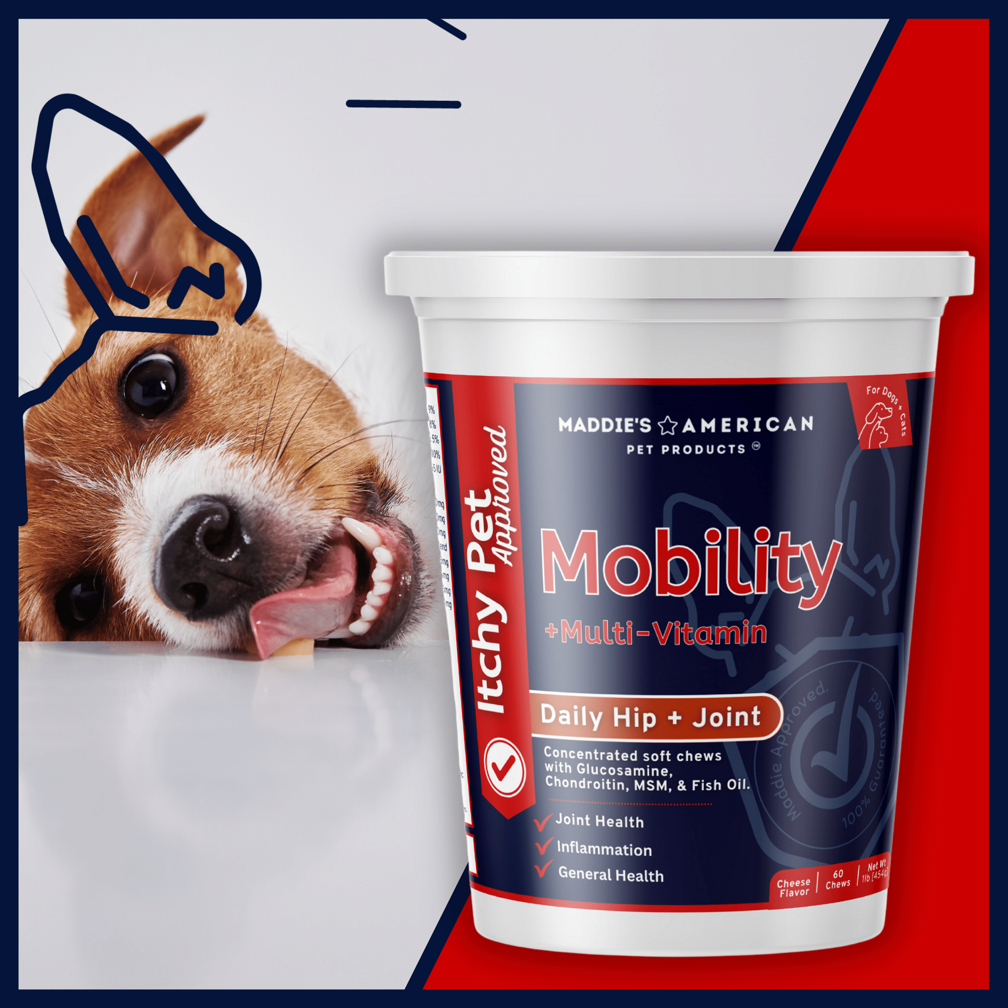 Mobility + Multi-Vitamin 9-in-1 Soft Chews