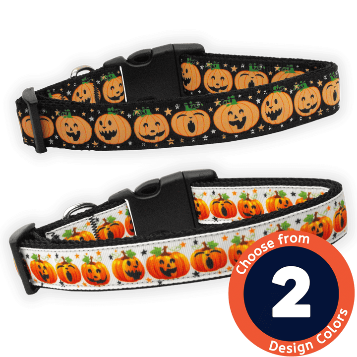 USA Made Nylon Dog Collar - Pumpkin Party Collection