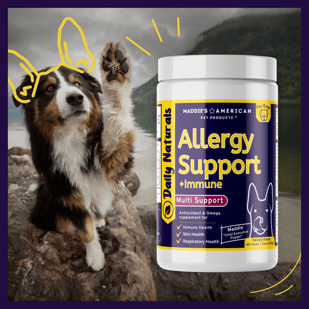 Allergy Support + Immune 8-in-1 Savory Chew Bites