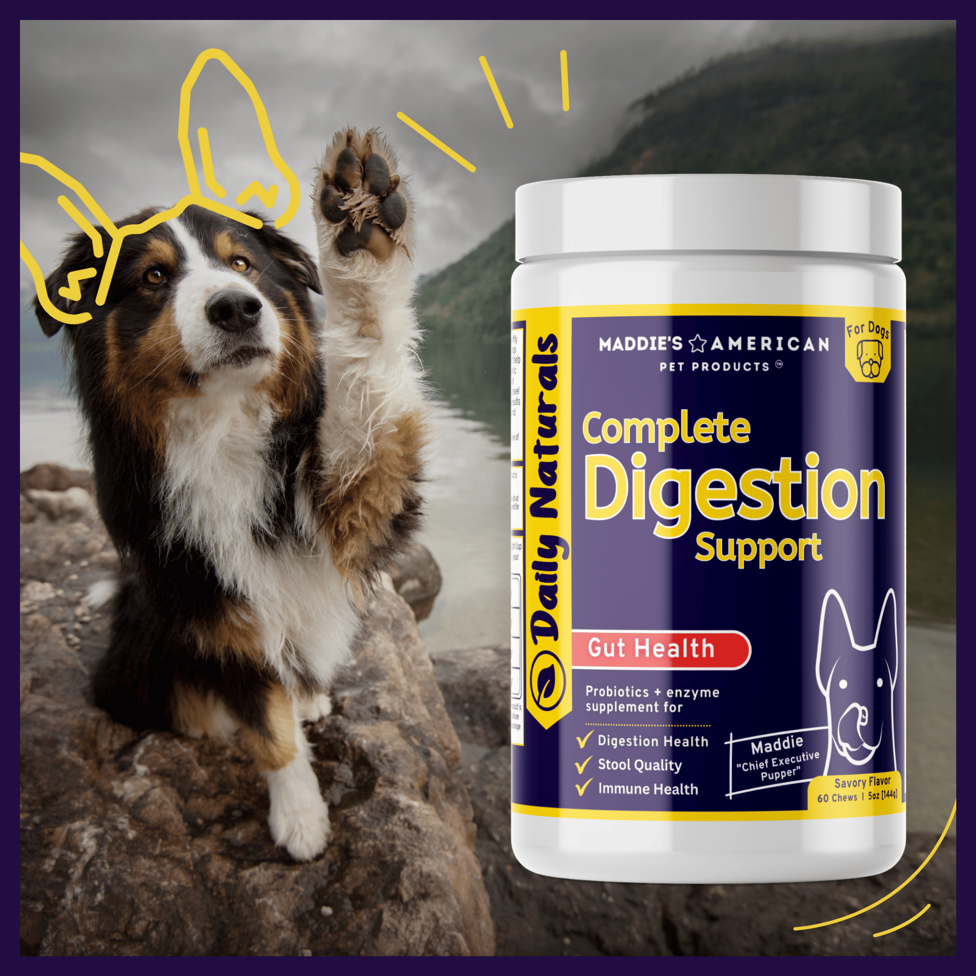 Complete Digestion Support - Probiotic + Enzyme 6-in-1 Savory Chew Bites