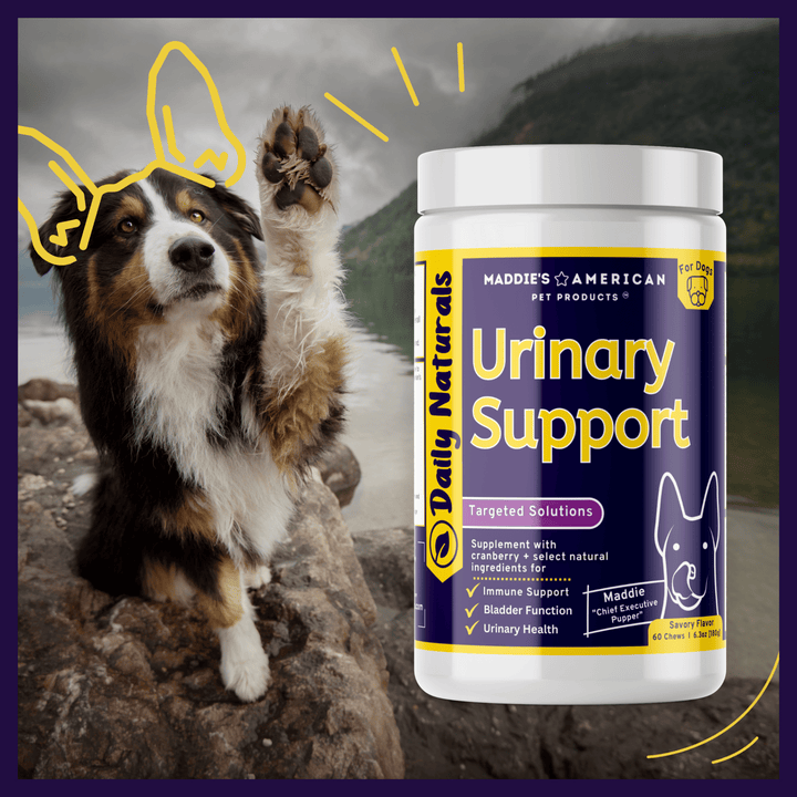 Urinary Support 6-in-1 Savory Chew Bites
