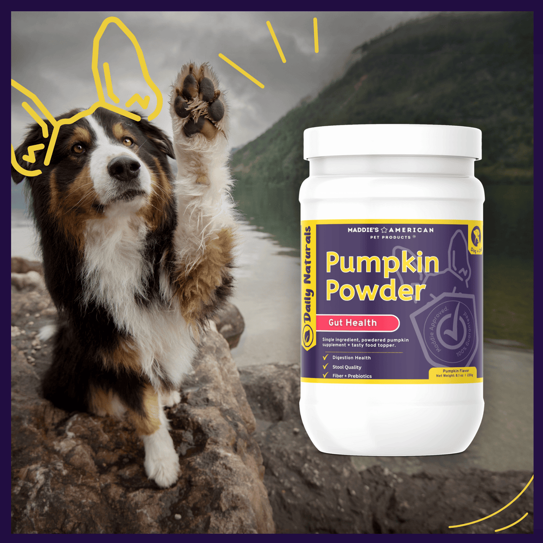 Pumpkin Powder - Pure Single Ingredient Digestion Supplement Food Topper for Dogs + Cats
