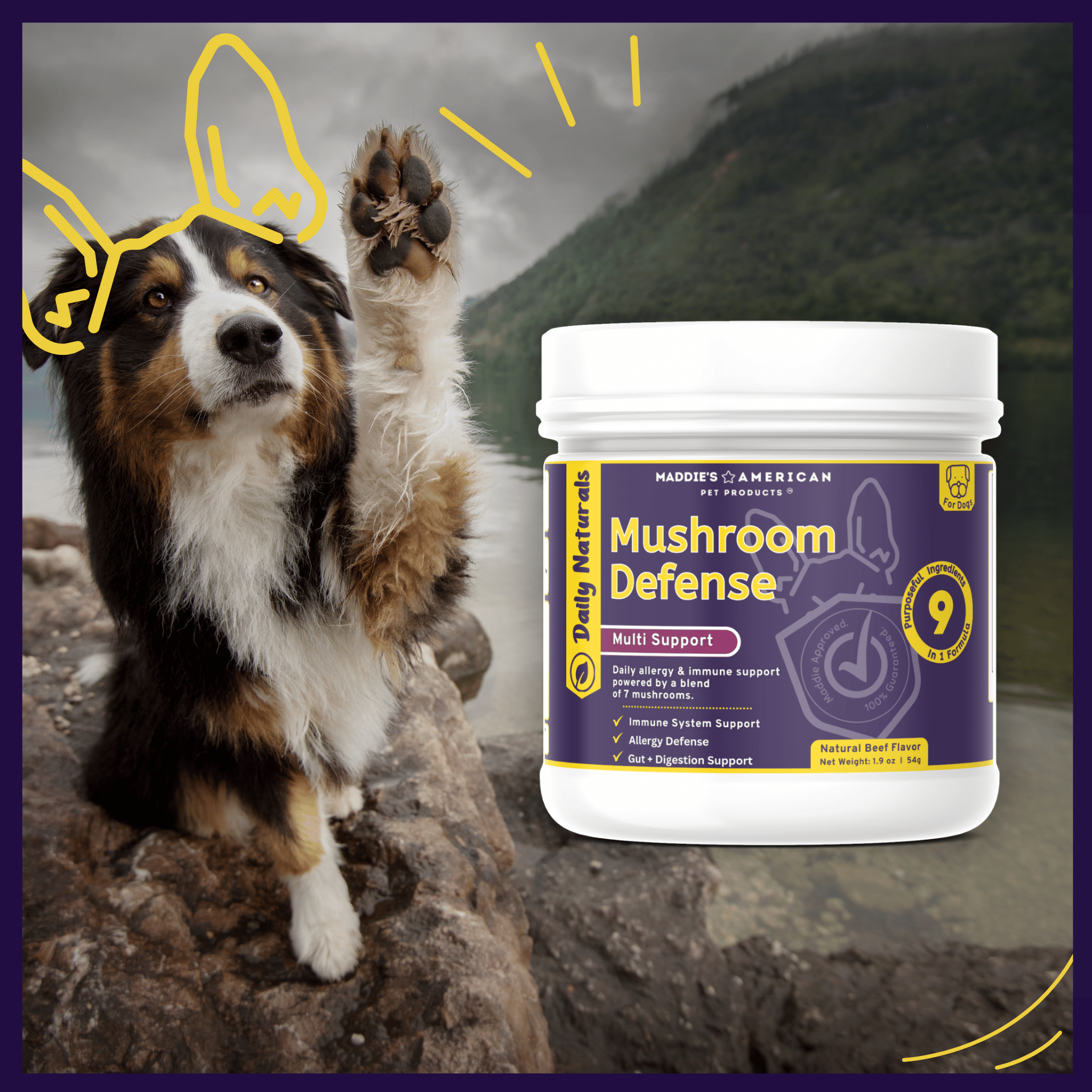 Mushroom Defense - 7 Mushroom Blend Powder - Dog Food Topper for Immunity, Gut, + Allergy Defense