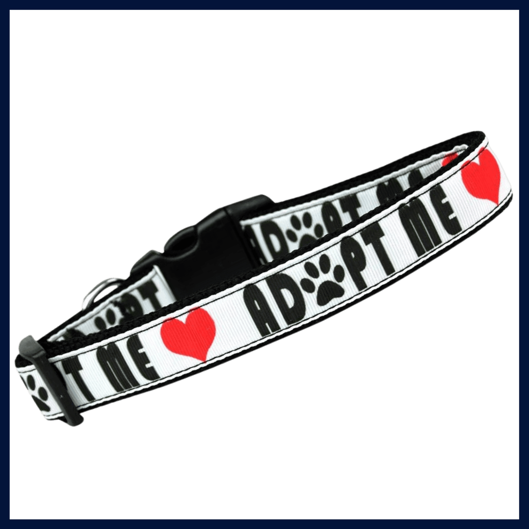 USA Made Nylon Cat Collar - Adopt Me