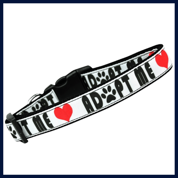 USA Made Nylon Cat Collar - Adopt Me