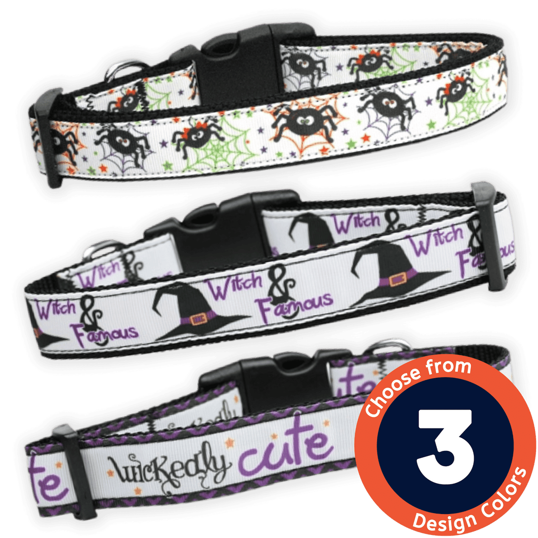 USA Made Nylon Dog Collar - Spooky Fun Collection