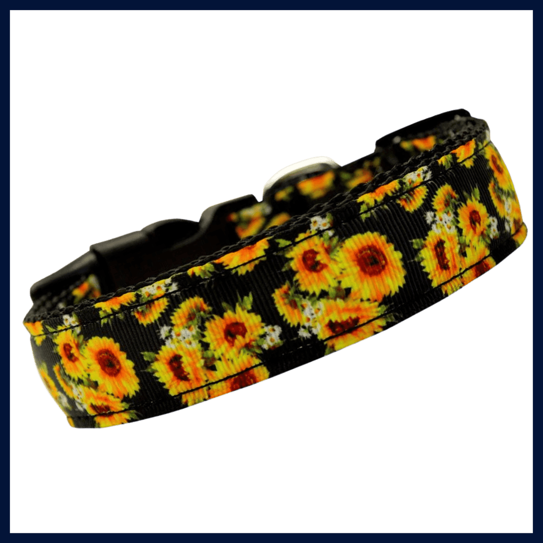 USA Made Nylon Dog Collar - Sunny Sunflowers