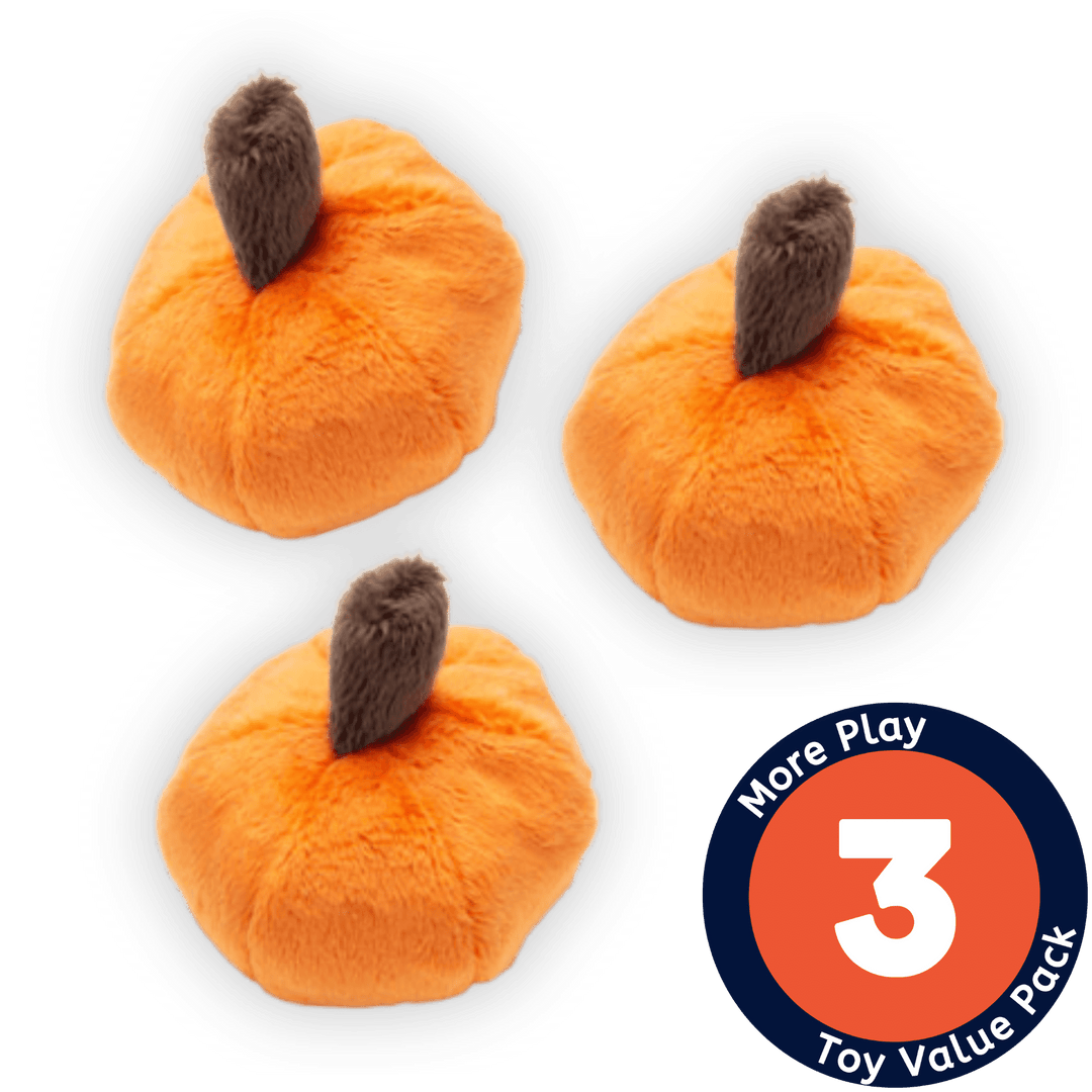 Halloween Collection - USA Made Cat Toy - Pumpkin Patch - 3 Pack