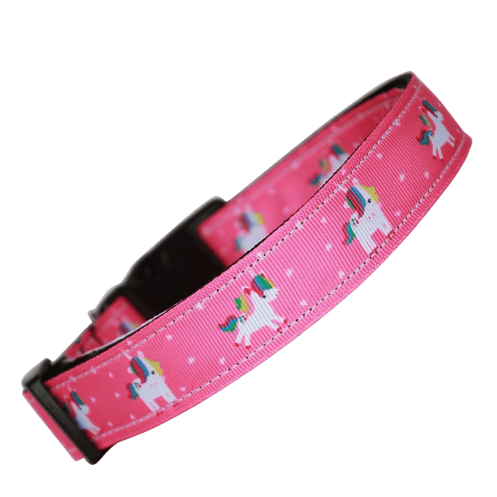 USA Made Nylon Cat Collar - Pretty Unicorn in Assorted Colors