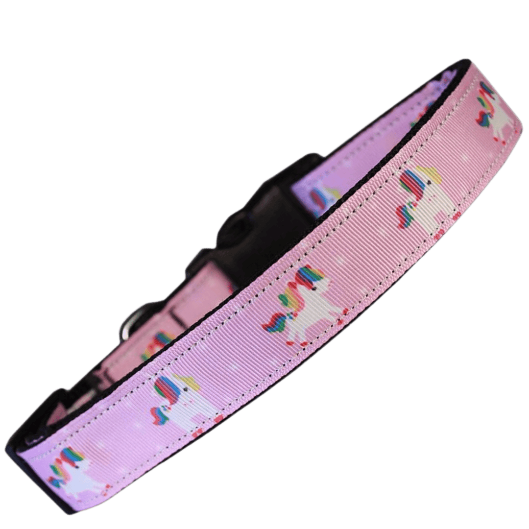 USA Made Nylon Cat Collar - Pretty Unicorn in Assorted Colors