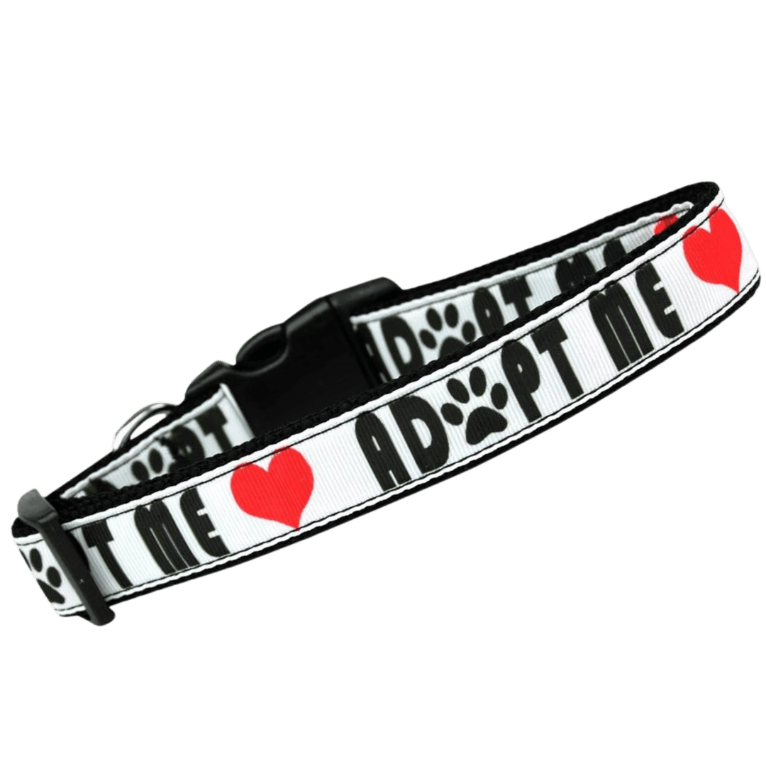 USA Made Nylon Cat Collar - Adopt Me