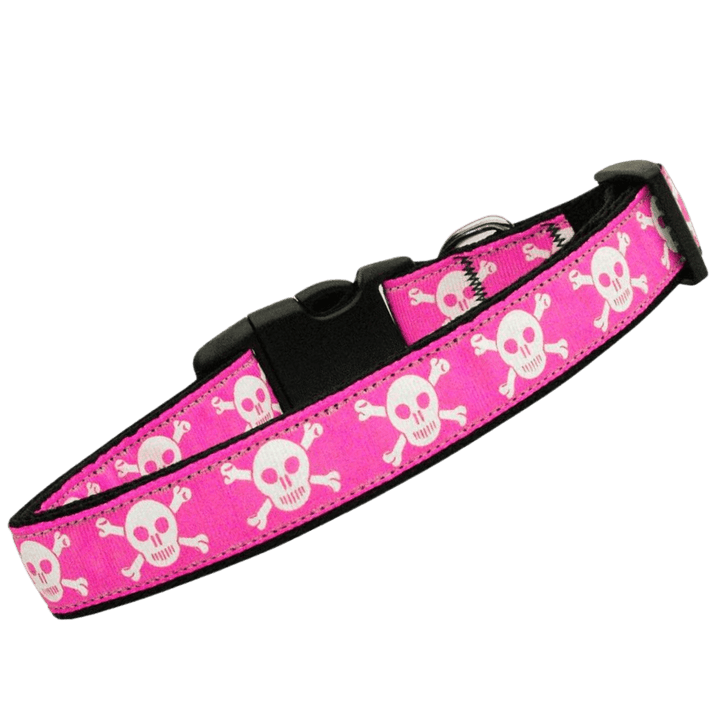 USA Made Nylon Cat Collar - Skulls in Assorted Colors