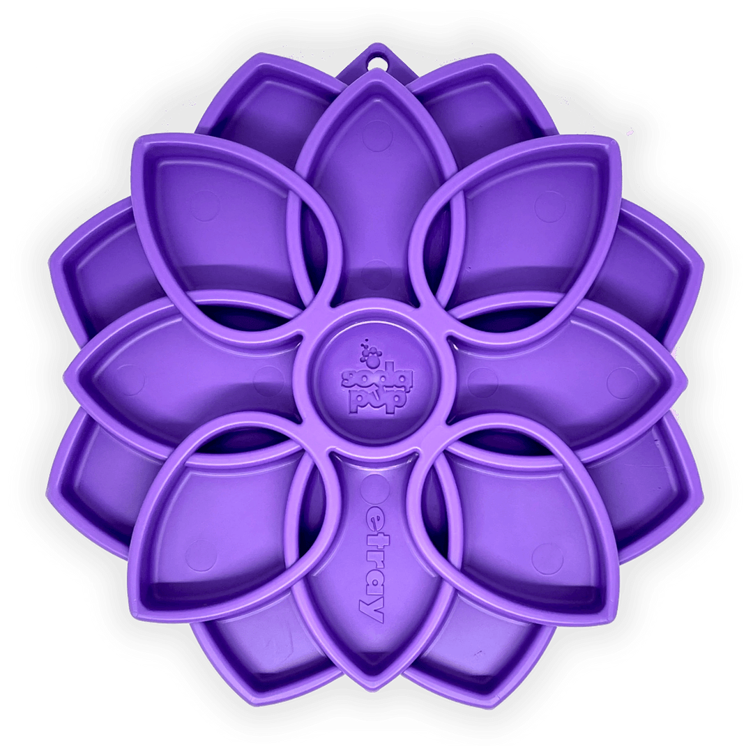 eTray Enrichment Slow Feeder Tray - Mandala Edition - Assorted Colors