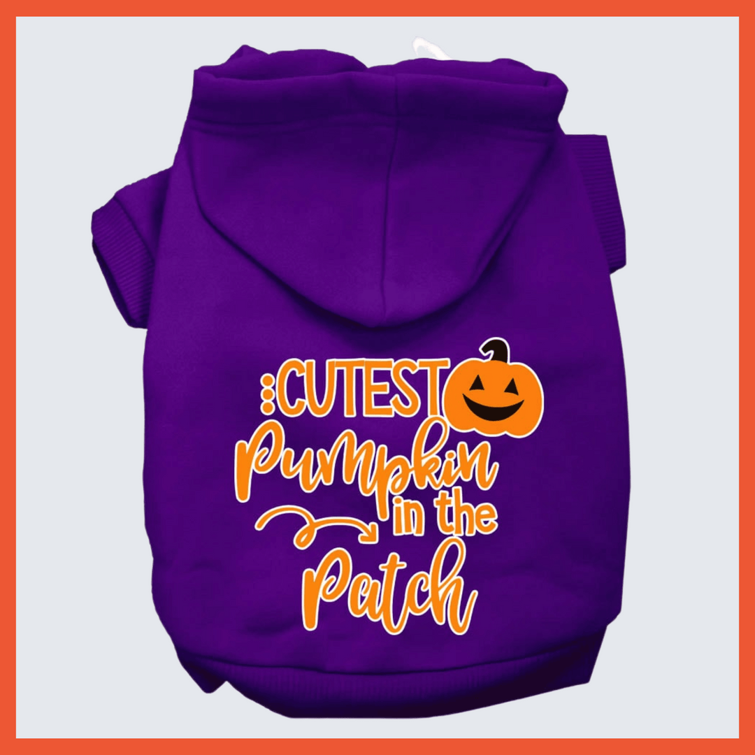 Halloween Collection - USA Printed Pet Hoodie - Cutest Pumpkin - Assorted Colors