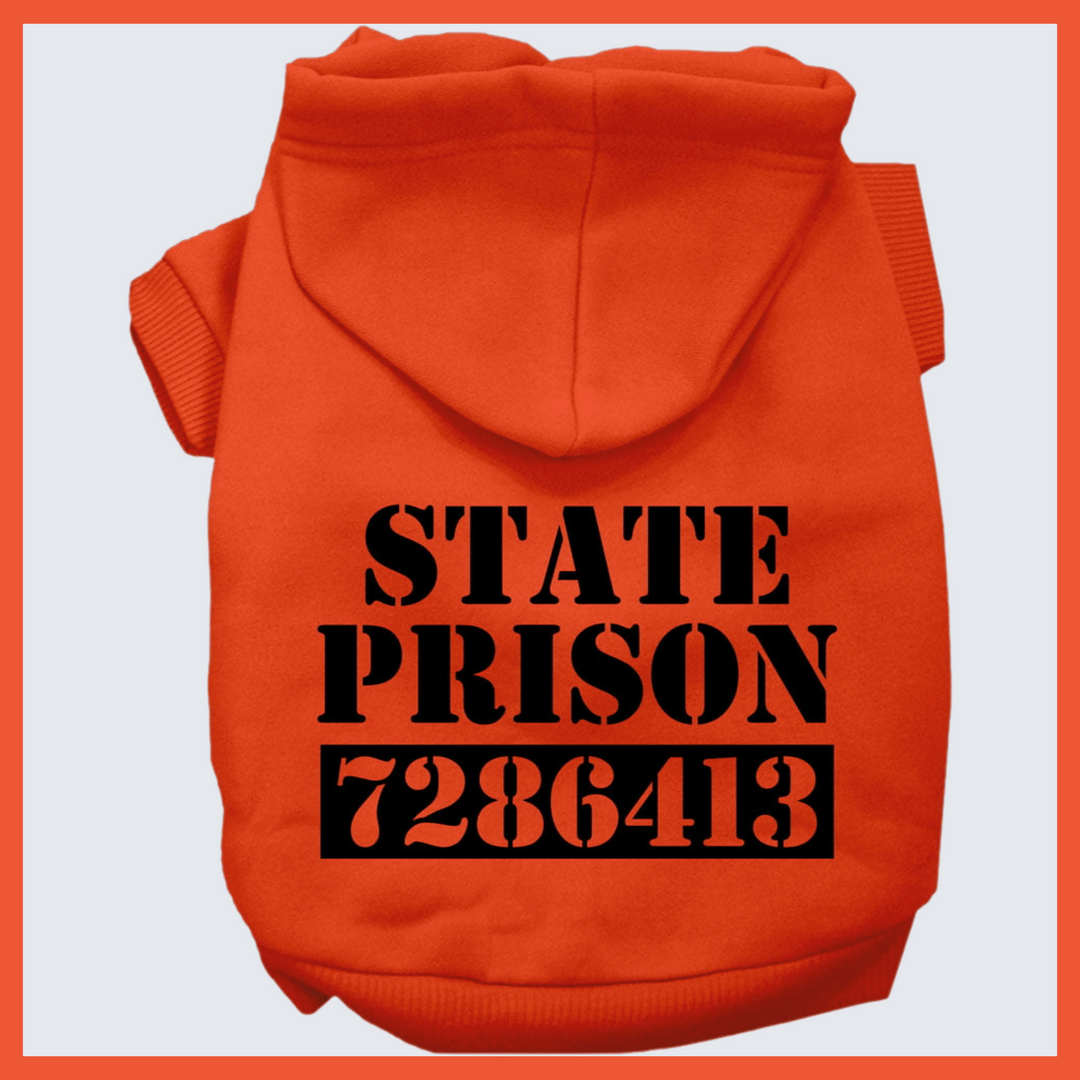 USA Printed Pet Costume Hoodie - Inmate