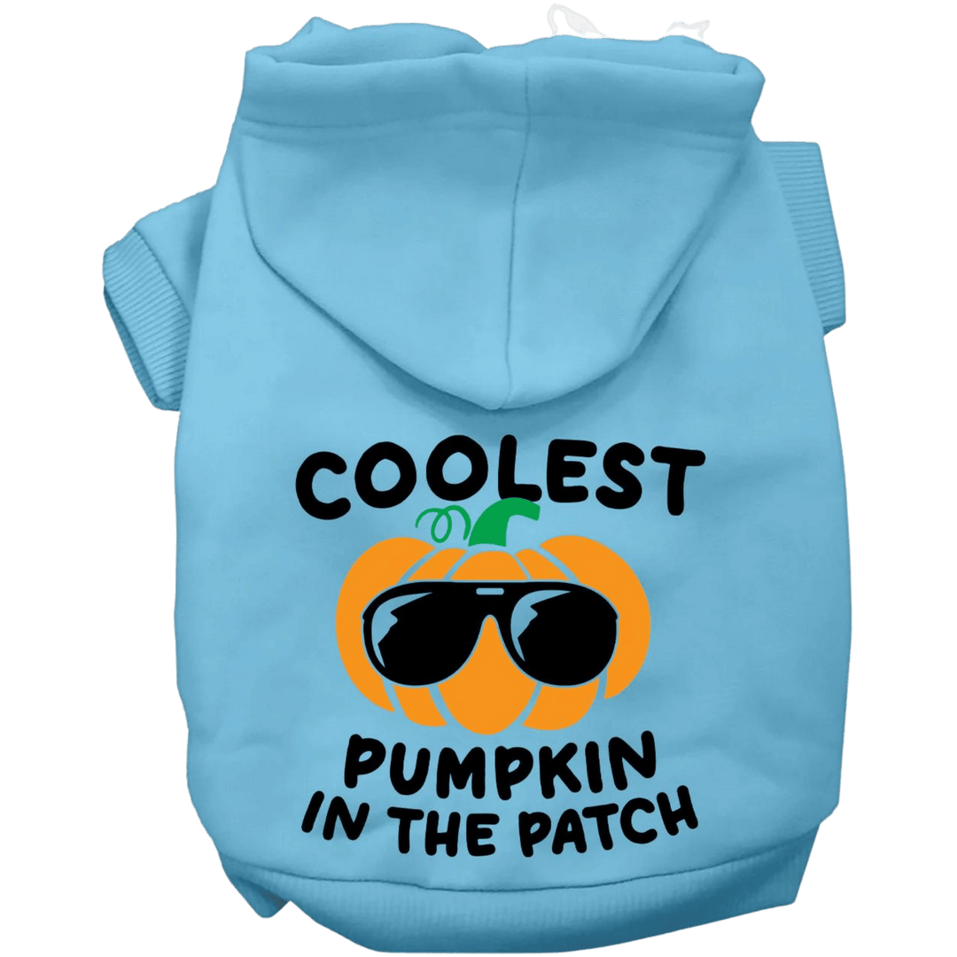 Halloween Collection - USA Printed Pet Hoodie - Coolest Pumpkin