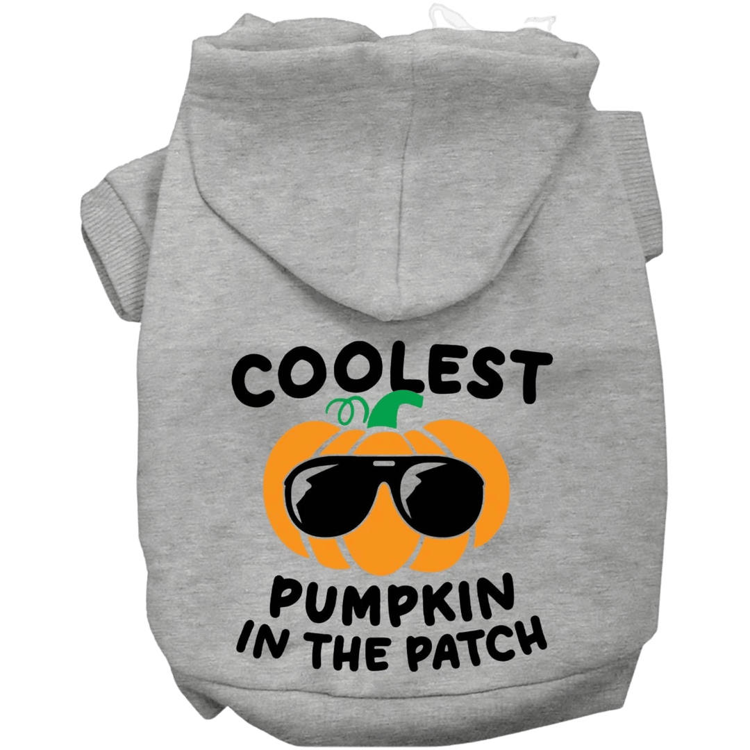 Halloween Collection - USA Printed Pet Hoodie - Coolest Pumpkin