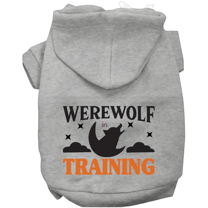 Product image, USA printed dog or cat Halloween hoodie. 