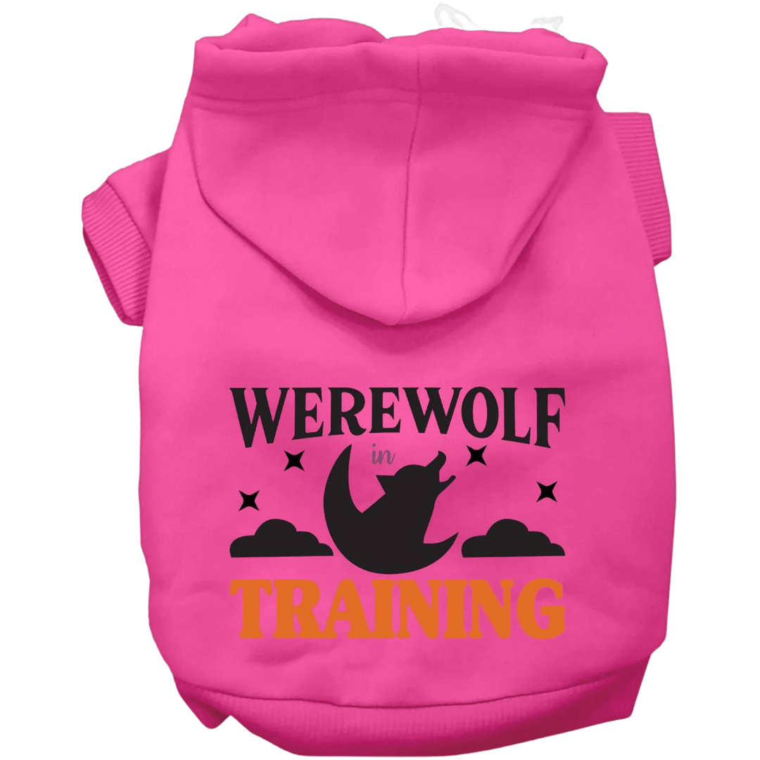 Product image, USA printed dog or cat Halloween hoodie. 