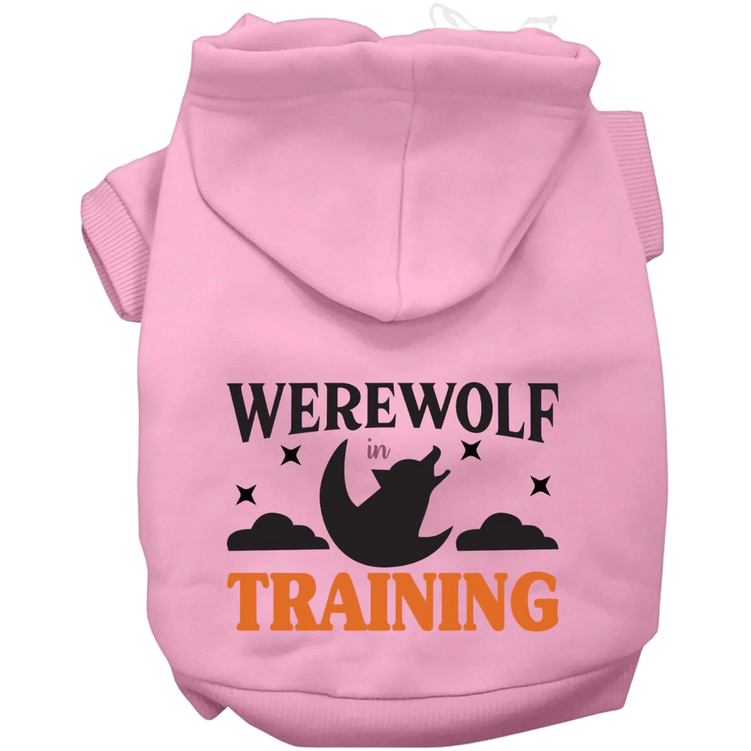 Product image, USA printed dog or cat Halloween hoodie. 