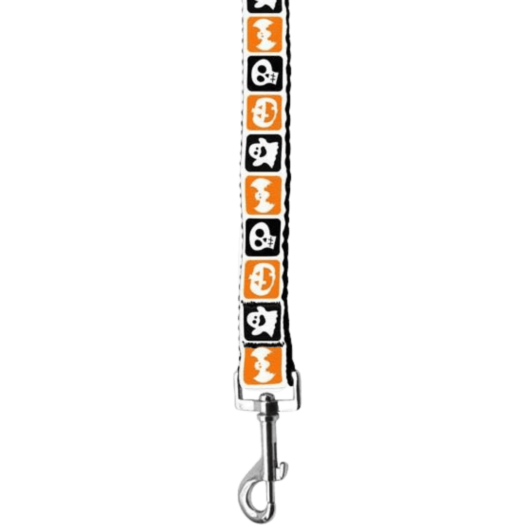 Product image, USA made dog or cat Halloween leash. 