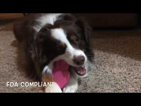 Paw Print Ultra Durable Dog Toy - Pink