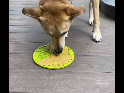 eMat Enrichment Lick Mat with Suction Cups - Tree of Life Edition