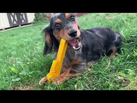 Pipe Wrench Ultra Durable Toy